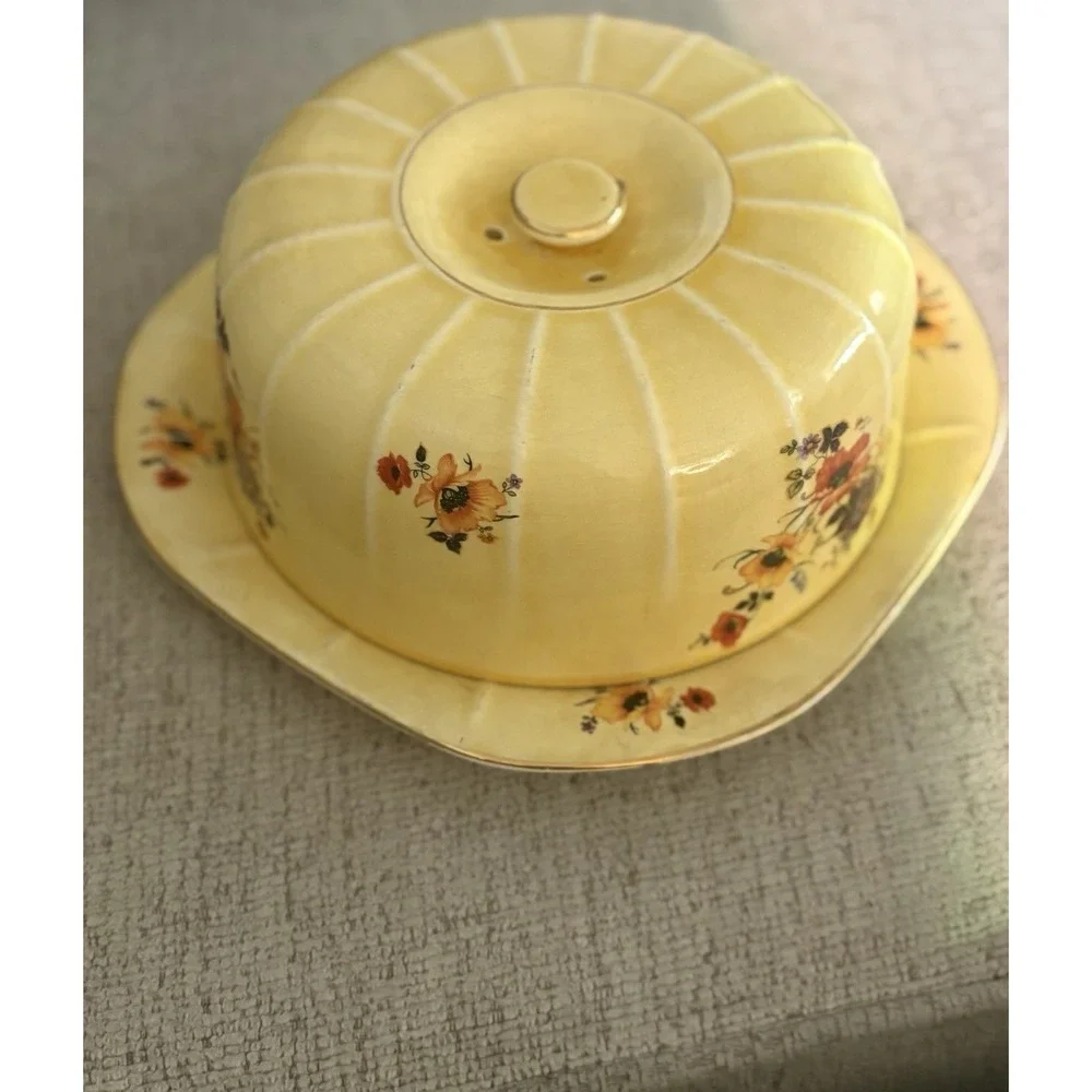 RARE Antique 1920 Limoges‎ China Company Golden Glow Cake Plate with Cover